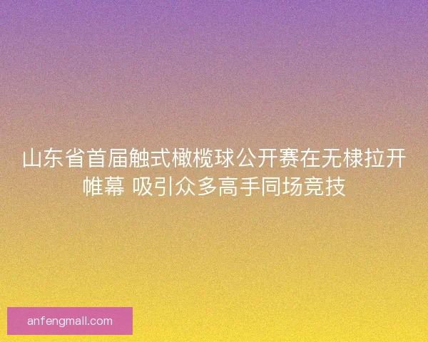山东省首届触式橄榄球公开赛在无棣拉开帷幕 吸引众多高手同场竞技 山东省首届触式橄榄球公开赛在无棣拉开帷幕 吸引众多高手同场竞技